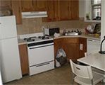 german_cockroach-infestation